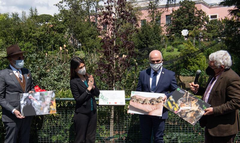 World Earth Day, being marked here in Rome, has grown from a relatively small number of climate activists in 1970 to the point today where more than a billion people from more than 190 countries are involved in highlighting and tackling the challenges faced by the planet. EPA