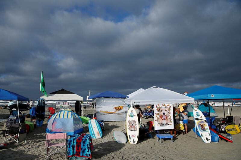 Owners of surf dogs set up their equipment before competing in the 14th annual Helen Woodward Animal Center "Surf-A-Thon" where more than 70 dogs competed in five different weight classes for "Top Surf Dog 2019" in Del Mar, California. Reuters