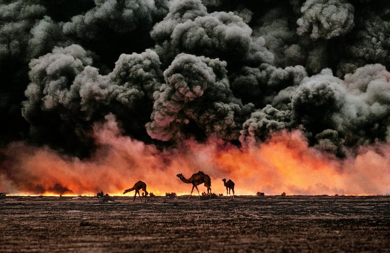 EACH IMAGE MUST BE CREDITED AS FOLLOWS: © STEVE MCCURRY. IMAGE COURTESY OF BEETLES + HUXLEY.

NO CROPPING

Al Ahmadi, Kuwait, 1991, KUWAIT-10001.

Camel and Oil Fields

MAX PRINT SIZE: 40X60

Sandwiched between blackened sand and sky, camels search for untainted shrubs and water in the burning oil fields of southern Kuwait. Their desperate foraging reflects the environmental plight of a region ravaged by the gulf war. Canby, Thomas Y. (August 1991)

"The first Gulf War taught us a new lesson in unconventional conflict. Saddam Hussain's army filled the skies of southern Kuwait with black poignant smoke from the burning oil lines. It was a powerful, debilitating symbol. And there was another. McCurry, who was covering the war, saw camels running in terror from the fires. Both images -whether of the fires or of the animals- were powerful representations of the chaos of that time. Central to McCurry's reputation as a journalist is his discipline to wait, and to search, and then to recognize the most telling image. The juxtaposition of the fire and smoke and camels running amok creates an icon of that war." - Phaidon 55

National Geographic, Vol. 180, No. 2, pgs. 2-3, August 1991, The Persian Gulf: After the Storm

Magnum Photos, NYC107607, MCS1991003K213.

Phaidon, 55, Iconic Images, final book_iconic, final print_milan, iconic photographs

As his army retreated from Kuwait, Saddam Hussein ordered the ignition of the oil fields that scatter the country. The effect was an ecological disaster of unimaginable scale. These camels are running from the fires. It is a futile effort: soon they will covered in oil that rains down from the sky.

Struggling camels silhouetted against the oil-fire, al-Ahmadi oil field, Kuwait, 1991. Pg 88,89, Untold: The Stories Behind the Photographs

Steve Mccurry_Book
Iconic_Book
Untold_book
Milan_Exhibit_'09
final print_Sao Paulo
final print_MACRO
final print_HERMITAGE
Stern Portfolio_Book
Fine Art Print
MAX PRINT SIZE: 40X60

Retouched_Sonny  *** Local Caption ***  Ahmadi Oil Fields, Kuwait, 1991.jpg