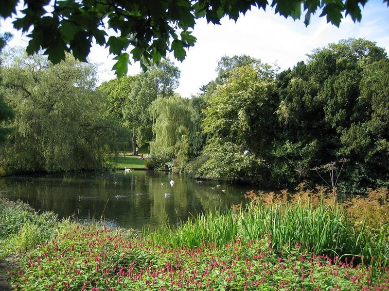 The pond at The Royal Botanic Garden Edinburgh in Scotland. Courtesy The Royal Botanic Garden Edinburgh