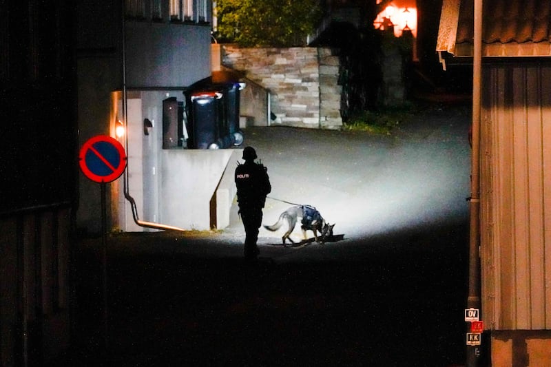 A police officer uses a sniffer dog at the scene. AFP