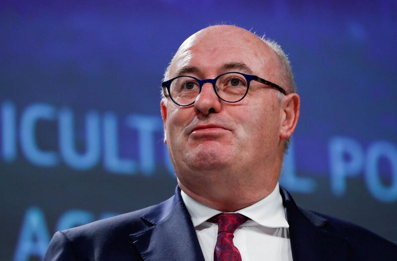 FILE PHOTO: European Commissioner for Agriculture and Rural Development Phil Hogan holds a news conference on the Common Agricultural Policy (CAP) post-2020, in Brussels, Belgium June 1, 2018.  REUTERS/Yves Herman/File Photo