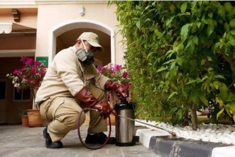 A National Pest Control employee uses environmentally friendly pesticides while at work at Palm Oasis Villas in Abu Dhabi this week.