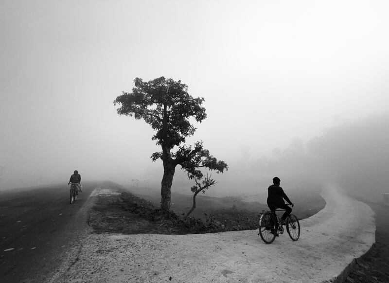Lifestyle, Third Place, 'Cycle of Life', shot by Dimpy Bhalotia in West Bengal, India, on iPhone 13 Pro Max. Photo: Dimpy Bhalotia / IPPAWARDS