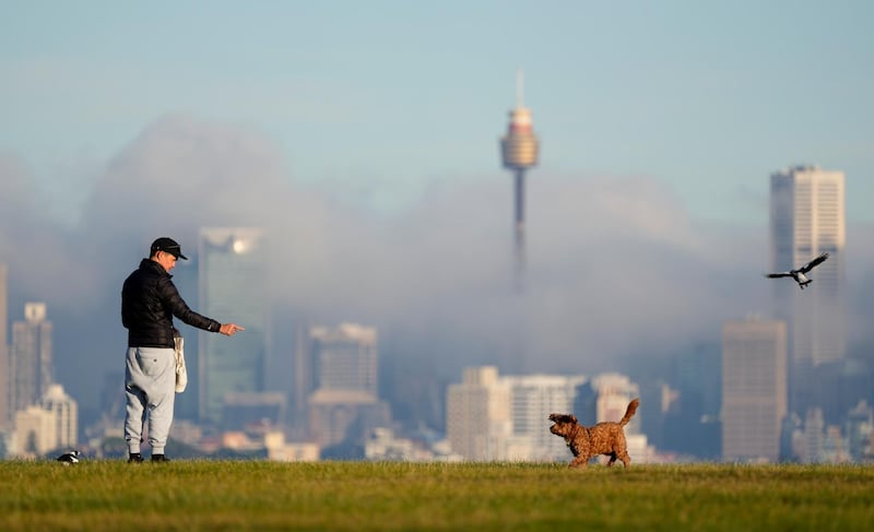 A man gestures to his dog as fog drifts through the buildings in Sydney's central business district, Australia. AP Photo