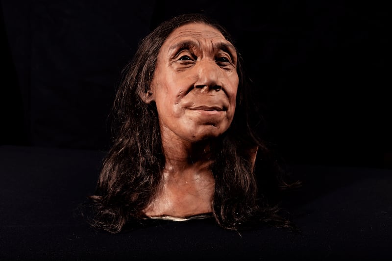 Shanidar Z, made by the Kennis brothers for the Netflix documentary Secrets of the Neanderthals, based on 3D scans of his reconstructed skull. All photos: BBC Studios / PA