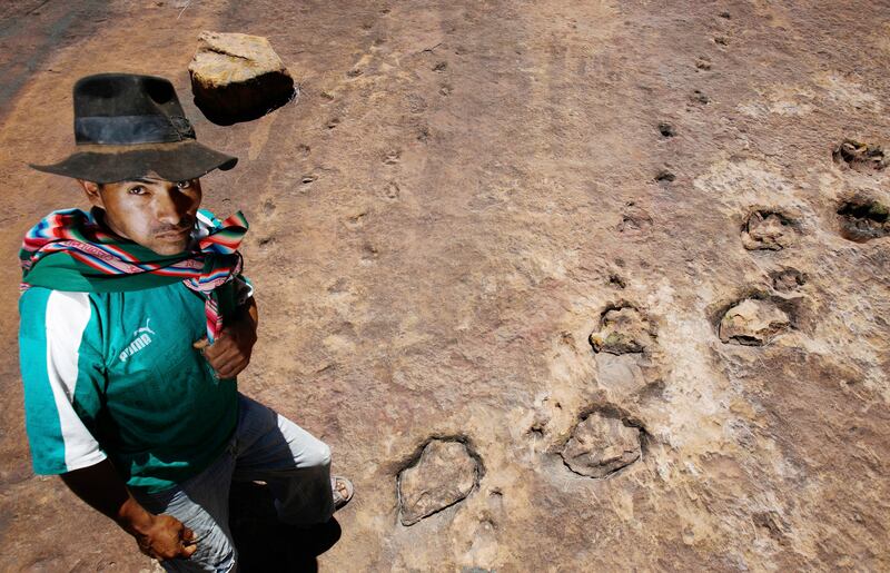 Bolivian farmer Primo Rivera stands in an area called Tunasniyoj, which means 'the place of the prickly pear cactus', where he discovered dinosaur footprints in November 2008. Reuters