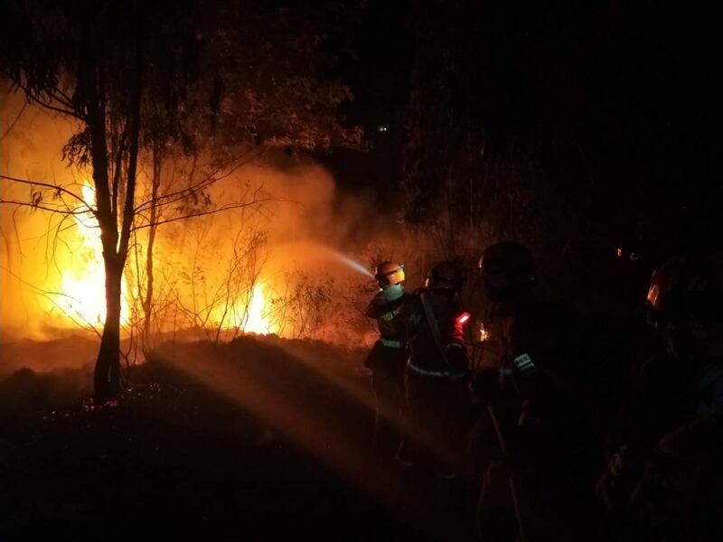 Firemen work to put out a forest fire approaching a gas station in Xichang, Sichuan province.  EPA