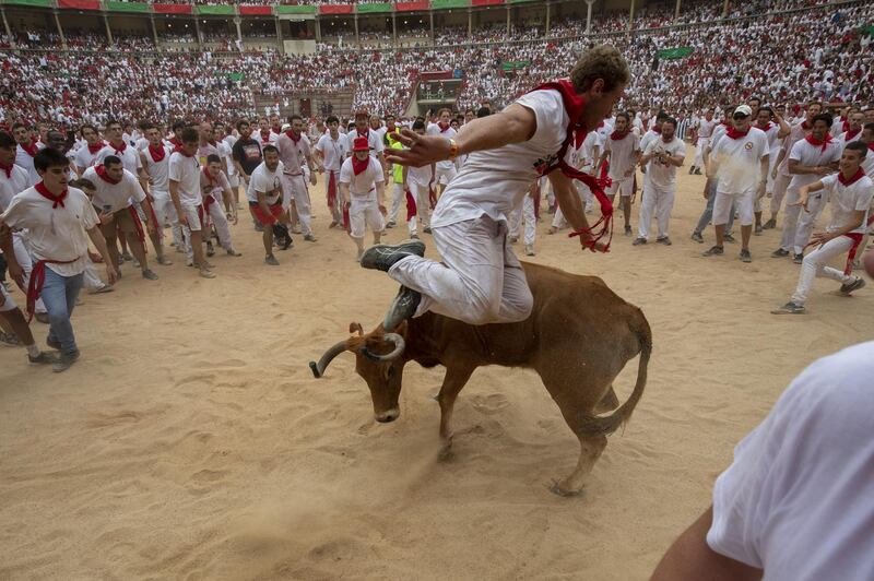 A reveller jumps over a heifer in the bullring during the second day of the San Fermin Running of the Bulls festival  in Pamplona, Spain. Getty Images