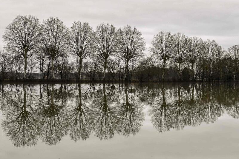 Trees reflected in the water along the flooded banks of the Saone River between Tournus and Macon, eastern France. Philippe Desmaze / AFP Photo