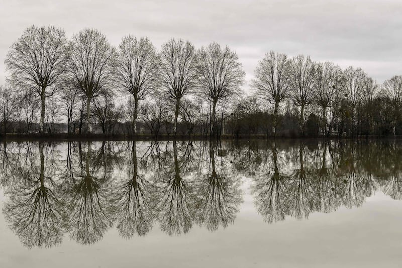 Trees reflected in the water along the flooded banks of the Saone River between Tournus and Macon, eastern France. Philippe Desmaze / AFP Photo
