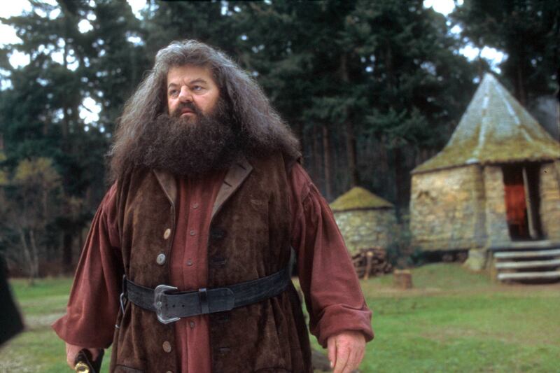 Robbie Coltrane as Hagrid in 'Harry Potter and the Philosopher's Stone'. Photo: Warner Bros Pictures