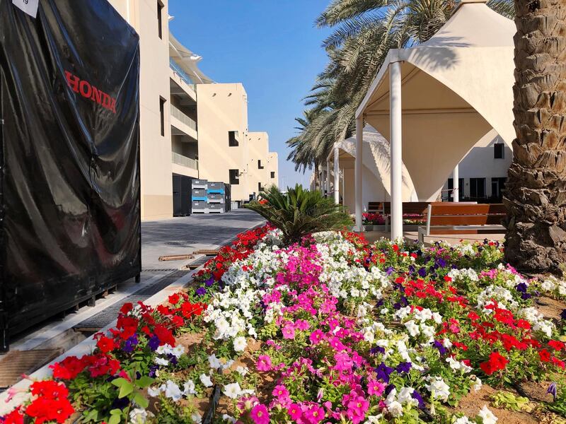 More than two acres of seasonal flowers are planted across Yas Marina Circuit. Courtesy Yas Marina Circuit