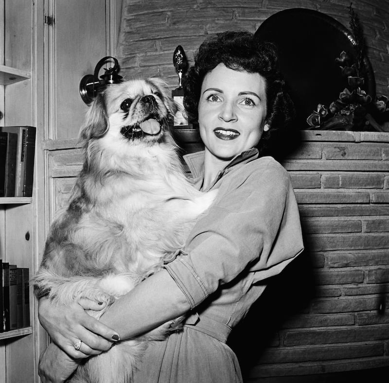 Betty White at home in 1954. Getty Images