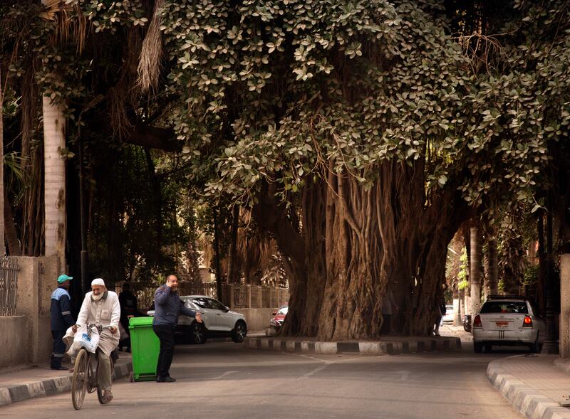 People walk past a 150-year-old Banyan tree near the Cairo Tower. AP