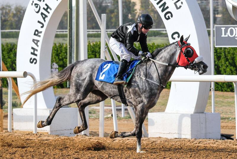 Sharjah, United Arab Emirates, February 22, 2020. The Sharjah Equestrian & Racing Club, Final Race.AF Kal Noor ridden by Tadhg O'Shea, wins the final meeting at the Sharjah Ruler’s Cup.Victor Besa / The National Section:    SPReporter:  Amith Passela