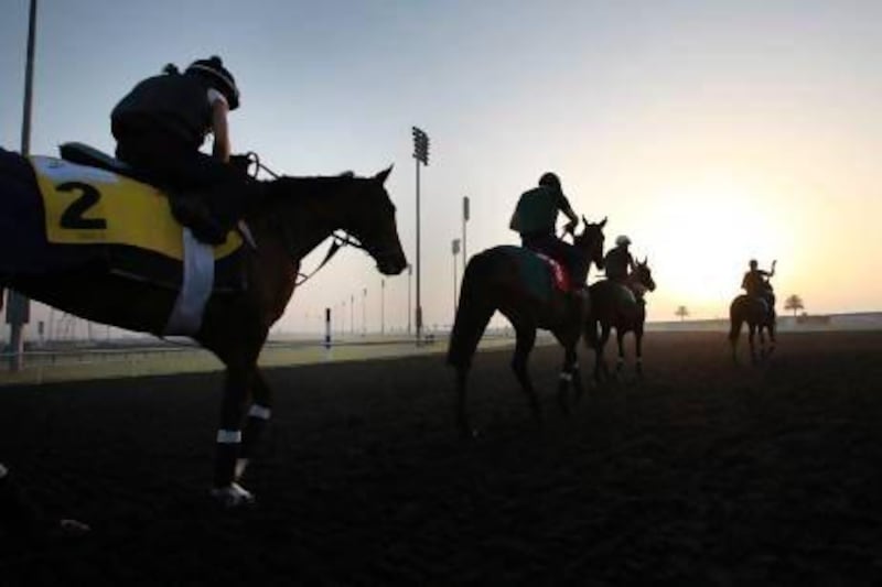 Jockeys prepare racehorses in early morning trackwork at Meydan Racecourse, which will see 20 days of action, including the Dubai World Cup, this season. Ali Haider / EPA