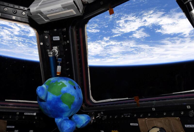 SpaceX sent up this plush Earth toy aboard its Crew Dragon spaceship. Space station astronauts took a liking to the mascot and nicknamed him Earthy. US media reports say it subsequently sold out in stores around the country. Anne McClain / Nasa