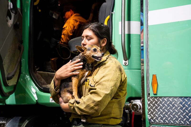 Firefighter Joanna Jimenez holds a dog she found wandering in a fire evacuation zone in Mariposa county. AP