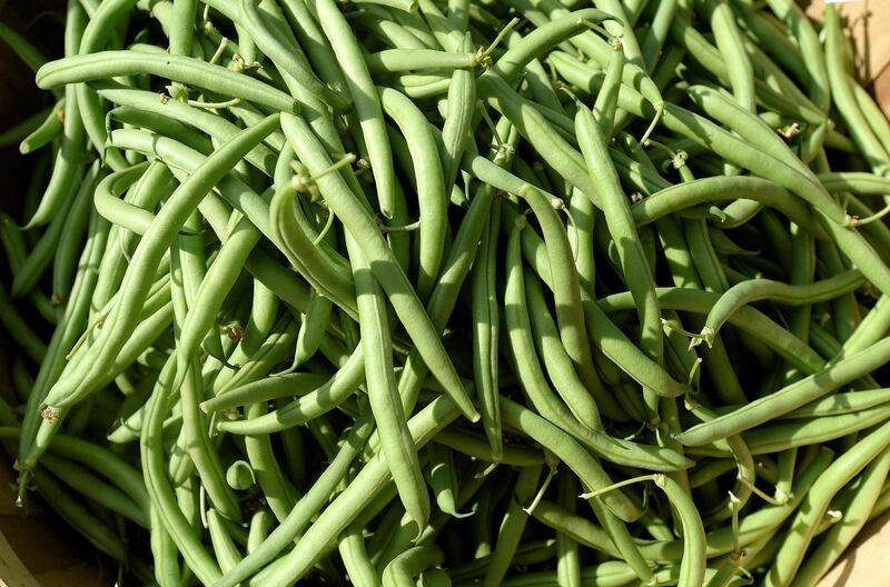 PORTLAND, ME - JULY 30: Green Beans from Snell Farm at Deering Oaks farmers market Saturday, July 30, 2016. (Photo by Shawn Patrick Ouellette/Portland Press Herald via Getty Images)