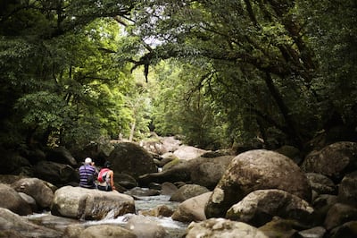 CAIRNS, AUSTRALIA - NOVEMBER 15:  A couple sit on the rocks of the Mossman river in world heritage listed daintree rainforest on November 15, 2012 in Mossman Gorge, Australia. Located in Far North Queensland, the Cairns region is one of Australia’s most popular travel destinations with a tropical climate and close proximity to both the Great Barrier Reef and Daintree Rainforest.  (Photo by Mark Kolbe/Getty Images)