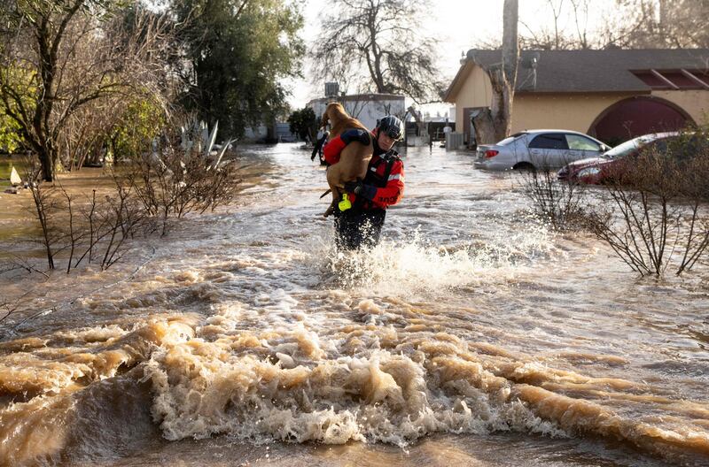 San Diego firefighter Brian Sanford rescues a dog from a flooded home. AFP