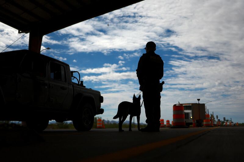 A US Border Patrol agent along with a K9 canine agent search for migrants attempting to enter the US, at a checkpoint, in Las Cruces, New Mexico, on June 27. Reuters