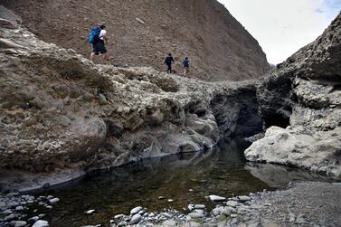 A new strategy is being develpped to protect wetlands such as Wadi Wurayah in Fujairah. Silvia Razgova / The National