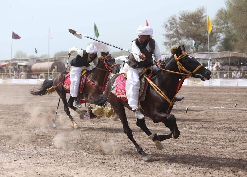 Pakistani horse riders with lances used to pick up pegs during an attempt for a Guinness World Record for tent pegging in the Khanewal district in Punjab province. AFP