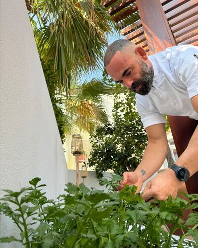 Chef Mario Loi grows herbs and salad vegetables, such as mint, lemongrass and tomatoes, at the restaurant: Photo: Mika