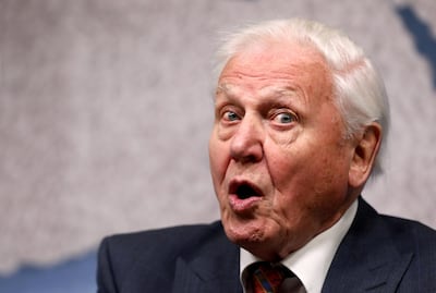 David Attenborough reacts as he attends the annual Chatham House award ceremony, in London, Britain November 20, 2019. REUTERS/Simon Dawson