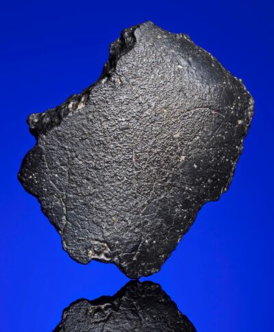 The Black Beauty Meteorite fetched $81,000 dollars. Courtesy of: Christies