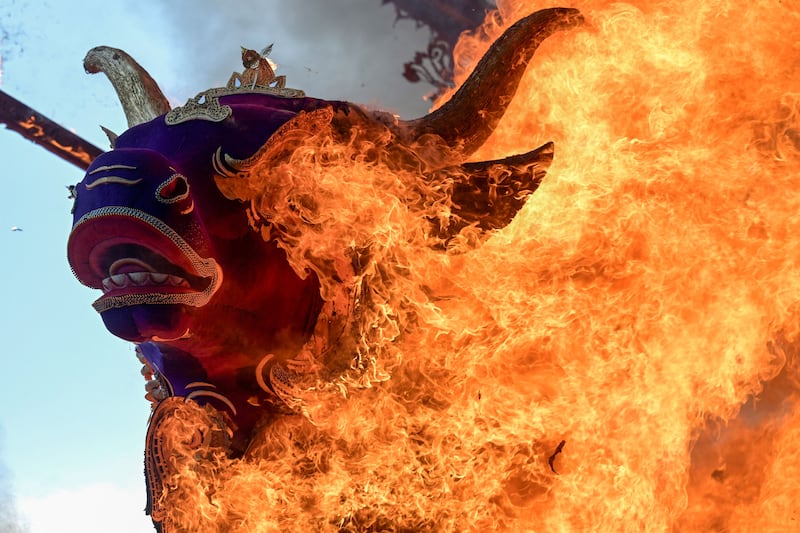 A sarcophagus depicting a purple cow burns during the cremation ceremony of Tjokorda Bagus Santaka, a member of the Ubud royal family who passed away this February, in Ubud on Bali island. AFP