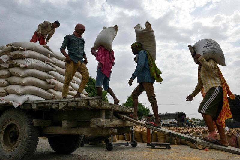 Indian labourers load sacks of wheat grain onto a trailer at a local distribution point on the outskirts of Amritsar.  AFP