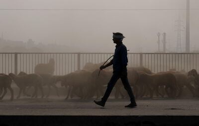 An Indian shepherd walks along his herd of sheep amidst heavy smog conditions in New Delhi on November 12, 2018. Air pollution in New Delhi hit hazardous levels on November 8 after a night of free-for-all Diwali fireworks, despite Supreme Court efforts to curb partying that fuels the Indian capital's toxic smog problem. / AFP / Money SHARMA
