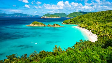 Trunk Bay in the US Virgin Islands is the world's best beach in 2024. Photo: Sean Pavone
