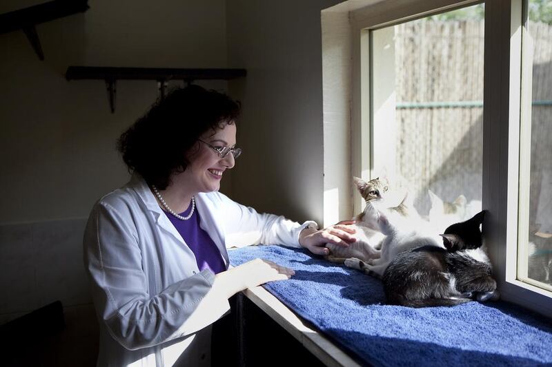 Veterinarian Dr Margit Muller, director of the Abu Dhabi Falcon Hospital, with some of the cats at the Abu Dhabi Animal Shelter next to the hospital. Animal adoptions increased by more than 40 per cent at the animal shelter last year. Silvia Razgova / The National