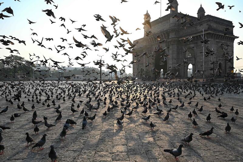 Pigeons fly in front of the Gateway of India in Mumbai. AFP