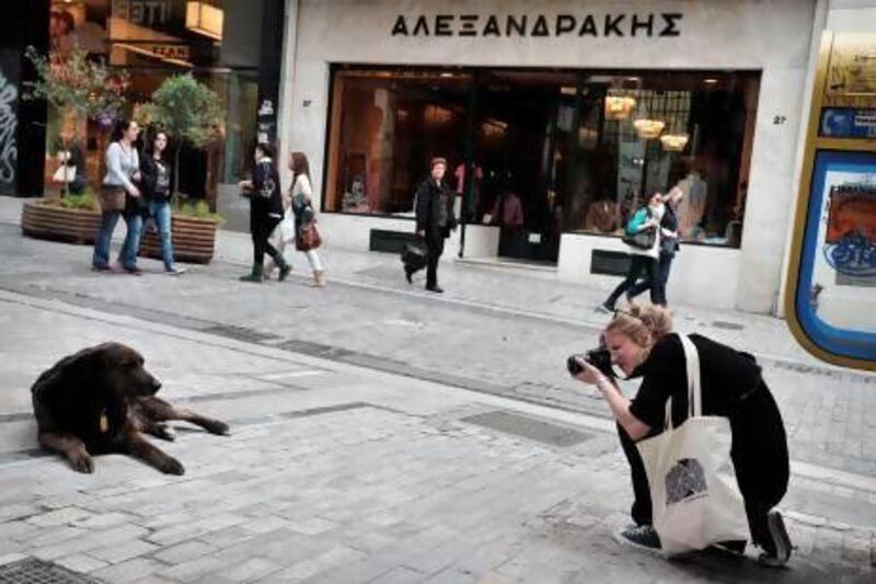 Anna, a French journalism student, takes a picture for her story about stray dogs in downtown Athens.