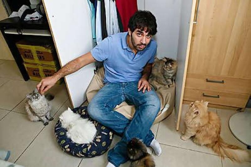 Hassan Hussein with all five of his cats in their favourite place to relax - his wardrobe.