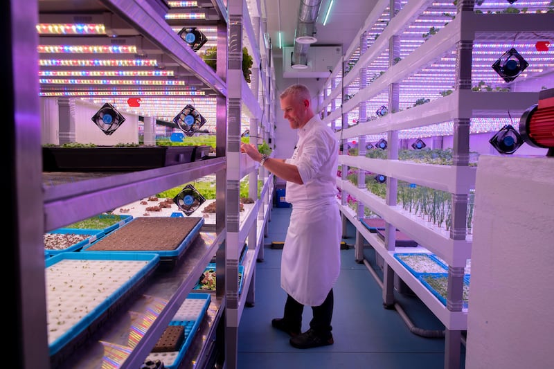 The Ritz-Carlton Dubai, JBR teamed up with Green Container Advanced Farming (GCAF) to launch a hyper-local, on-site hydroponic (a method of growing plants without soil) farm, one of the first-ever vertical farms in the city.  Executive Chef Tobias Pfister is pictured. All photos by Antonie Robertson / The National


