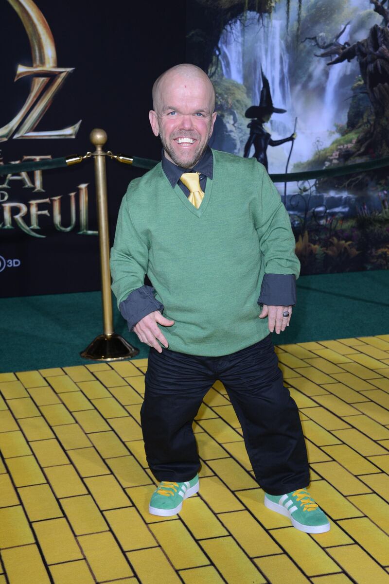 Actor Steve Lee arrives for the world premiere of "Oz The Great and Powerful" at El Capitan Theatre in Hollywood, California February 13, 2013.  AFP PHOTO / Robyn BECK (Photo by ROBYN BECK / AFP)