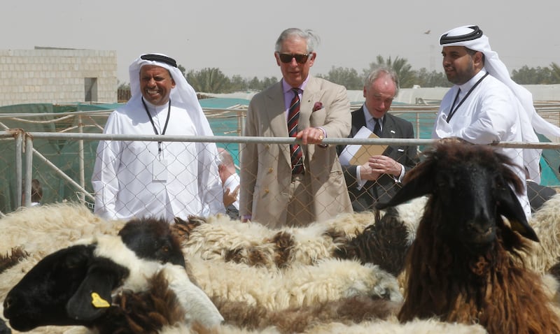 The royal visits Al Safwa farm in Doha in 2013. Reuters