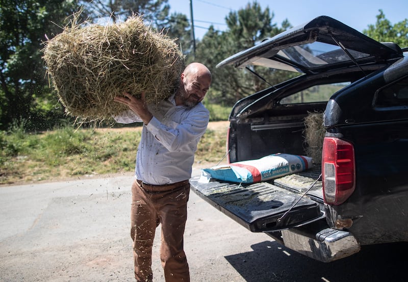 Mert Akkok carries a straw bale for his blind horse and donkey at his farmhouse near Istanbul. Mr Akkok lives with 18 dogs, three cats, a blind horse, a donkey and 46 seagulls at his animal shelter. EPA 