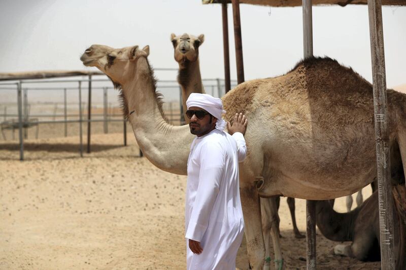 Please speak to Anna Zacharias about which pictures to use as there was confusion about what we could photograph 

Abu Dhabi, United Arab Emirates - June 21st, 2018: Ali Saeed Ali Al Darei. The town of QoÕa, a bidoon community on the Abu Dhabi-Oman border. Thursday, June 21st, 2018 at QoÕa, Abu Dhabi. Chris Whiteoak / The National