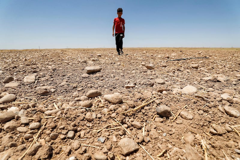 A boy walks through a dried-up field in the Saadiya area, north of Diyala. Temperatures in Iraq have exceeded 50°C.