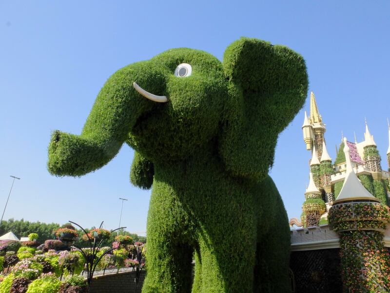 Dubai Miracle Garden has officially reopened to the public for the winter season. All photos: Antonie Robertson / The National
