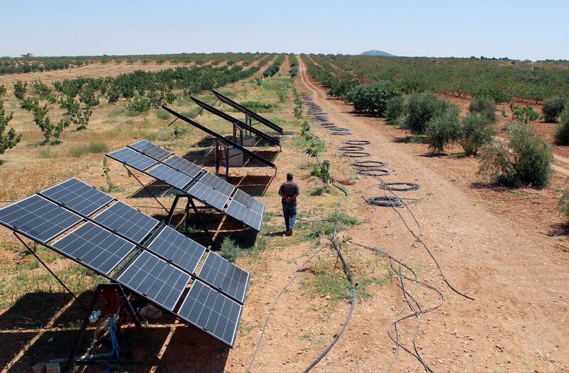 Farmers near the north-western village of Maan are harvesting only a quarter of the crop they gathered before the civil war.