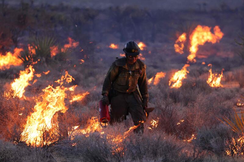 The York Fire in Mojave National Preserve has burnt its way across the California-Nevada border. AFP