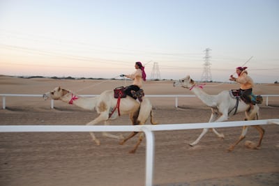 The Arabian Desert Camel Riding Centre is billed as the UAE’s first licensed centre for camel riding training and race preparation. Courtesy Linda Krockenberger